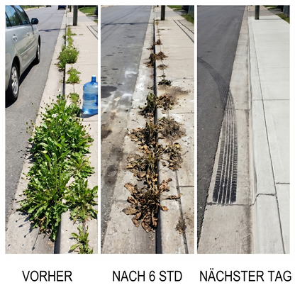 🏆 𝙊𝙛𝙛𝙞𝙯𝙞𝙚𝙡𝙡𝙚𝙧 𝙎𝙝𝙤𝙥 | Healrize® 2-in-1 Maximalstärke Herbizid : Schnelle Wirkung gegen glyphosatresistente Unkräuter