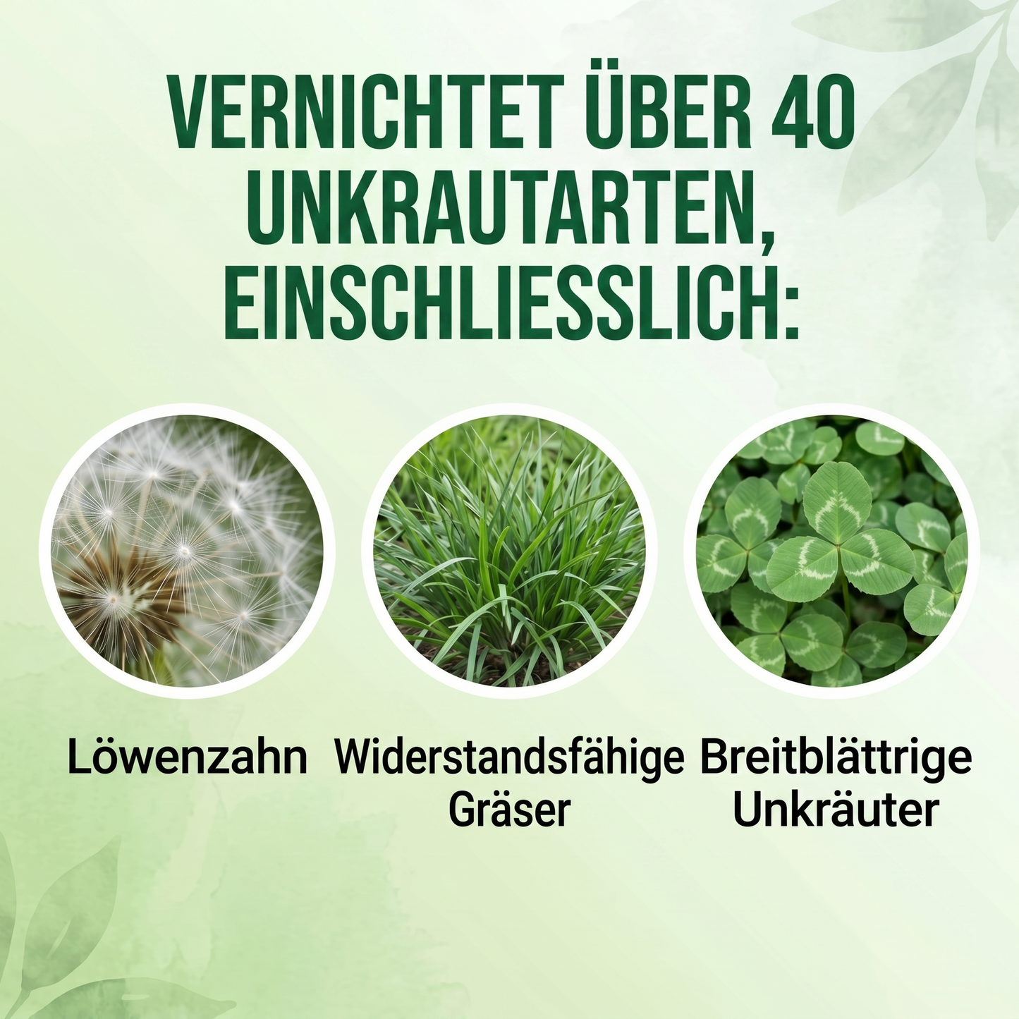🏆 𝙊𝙛𝙛𝙞𝙯𝙞𝙚𝙡𝙡𝙚𝙧 𝙎𝙝𝙤𝙥 | Healrize® 2-in-1 Maximalstärke Herbizid : Schnelle Wirkung gegen glyphosatresistente Unkräuter